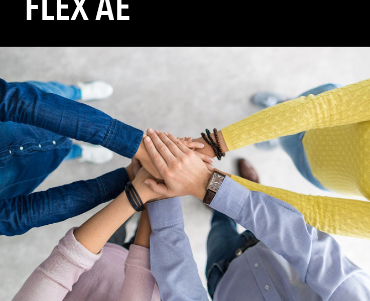 Flexibilisering lerarenopleidingen HAN